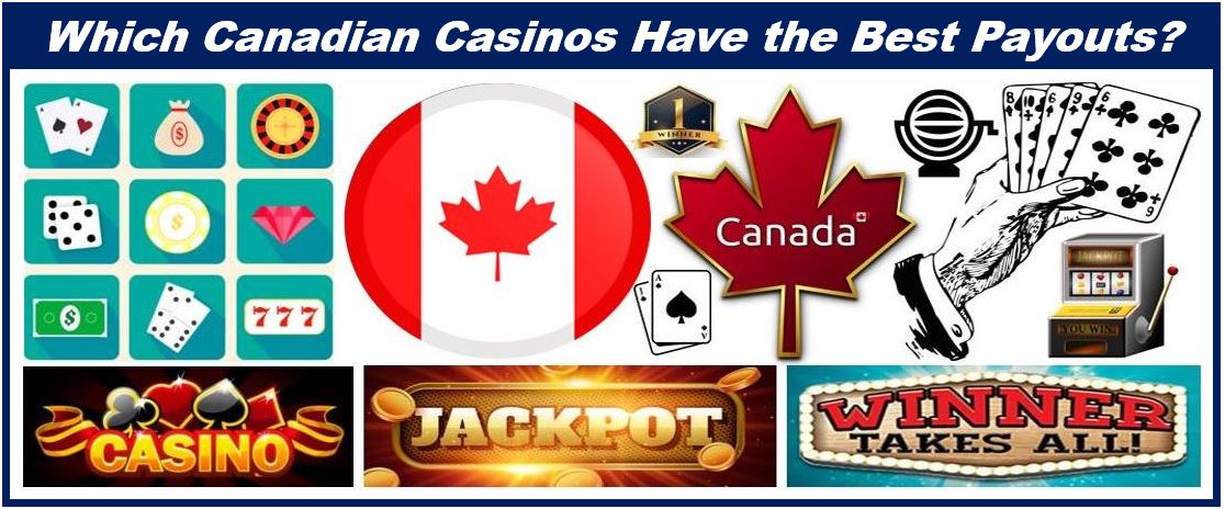 1xbet how to play